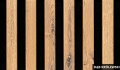 dąb królewski.webp