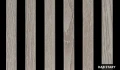 dąb stary.webp
